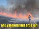 Dekar ba�� 33 TL ceza