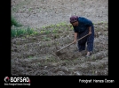 BOFSAD'da  g�n�n foto�raf�