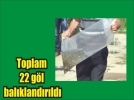 Binlerce sazan yavrusu g�llere b�rak�ld�
