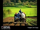 BOFSAD'da 13 Temmuz g�n�n foto�raf�