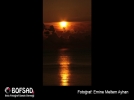 BOFSAD'da  g�n�n foto�raf�