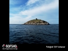 BOFSAD'da  g�n�n foto�raf�