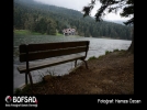 BOFSAD'da  g�n�n foto�raf�