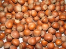 Bolu�ya f�nd�k b�lgesi kural�m teklifi