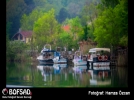 BOFSAD'da  g�n�n foto�raf�