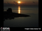 BOFSAD'da  g�n�n foto�raf�