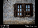 BOFSAD'da g�n�n foto�raf�