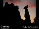 BOFSAD'da g�n�n foto�raf�