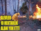Ci�erlerimiz yand�