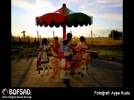 BOFSAD'da g�n�n foto�raf�