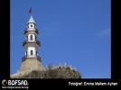 BOFSAD'da g�n�n foto�raf�
