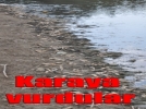 �l� bal�klar karaya vurdu