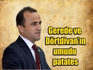270 bin TL�lik yat�r�m patates �retimini artt�racak