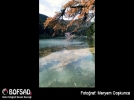 BOFSAD'da g�n�n foto�raf�