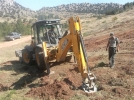 A�a�lar gelir getirecek