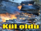 Ci�erlerimiz cay�r cay�r yand�