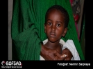 BOFSAD'da g�n�n foto�raf�