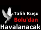 Talih ku�u Bolu�dan havalanacak
