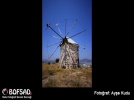BOFSAD'da g�n�n foto�raf�