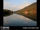BOFSAD'da g�n�n foto�raf�