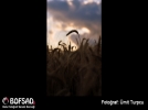 BOFSAD'da g�n�n foto�raf�