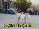 Vatanda� ke�ileri ka��rd�