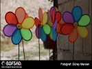 BOFSAD'da g�n�n foto�raf�