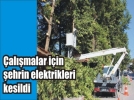 Elektrik tellerini dallardan kurtard�lar