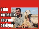 Kurbanl�k sat��lar� ba�lad�