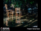 BOFSAD'da g�n�n foto�raf�