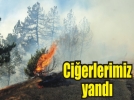 �ki k�yde iki orman yand�