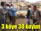 3 k�ye 30 koyun