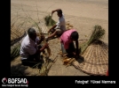 BOFSAD'da g�n�n foto�raf�