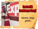 Gazetecilik b�rak�lm�yor(mu�)