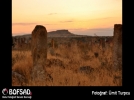 BOFSAD'da g�n�n foto�raf�