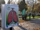 Sigara kutular�na duyars�z kald�
