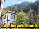 Mudurnu�ya kayalar yuvarland�