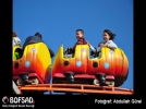 BOFSAD'da g�n�n foto�raf�