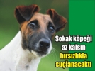 Okuduklar�n�za inanamayacaks�n�z