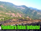 Eskisinden daha ye�il olacak