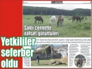 Sakl� cennetteki vah�et g�r�nt�leri mercek alt�nda