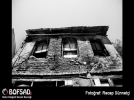 BOFSAD'da g�n�n foto�raf�