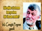 K�RO�LU S�STEME KAR�I OLAN B�R �NSAN MIDIR???
