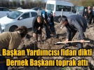 Tatlar g�lgeye kavu�tu