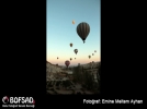 BOFSAD'da g�n�n foto�raf�