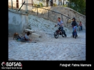BOFSAD'da g�n�n foto�raf�