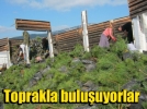 ​2014�e kadar fidan dikecekler