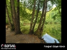 BOFSAD'da g�n�n foto�raf�
