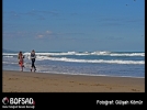 BOFSAD'da g�n�n foto�raf�