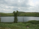 Alabal�k yavrular� g�le kavu�tu